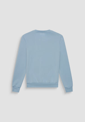 SUDADERA SLIM FIT DE MEZCLA DE ALGODÓN CON ESTAMPADO DE TIGRE DE GOMA